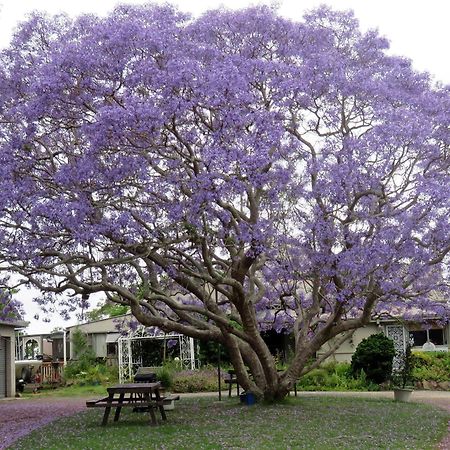 Ecotel Narooma North Narooma 외부 사진
