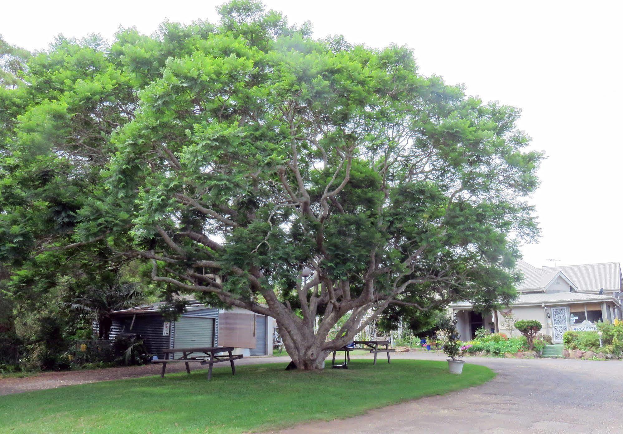 Ecotel Narooma North Narooma 외부 사진